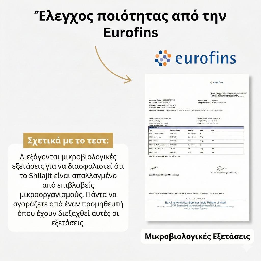 Ρητίνη Shilajit από τα Ιμαλάια – 30 g