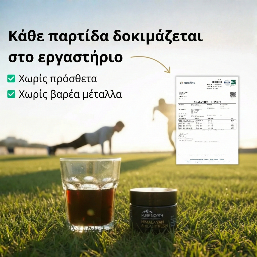 Ρητίνη Shilajit από τα Ιμαλάια – 30 g